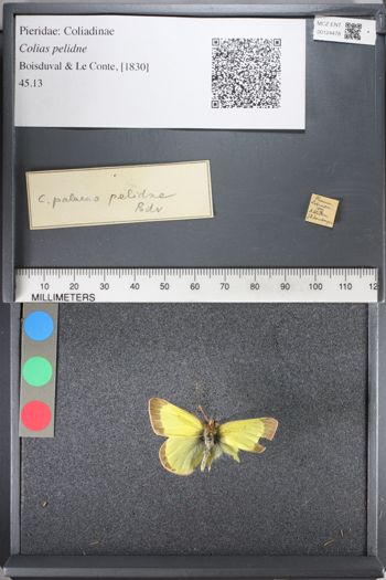 Media type: image;   Entomology 124478
